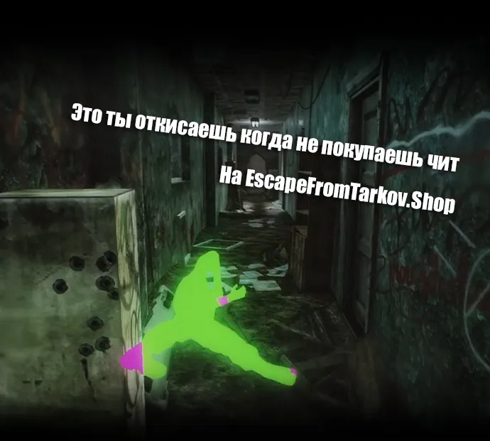 Escape From Tarkov cheats