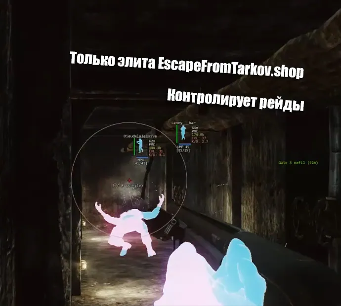 Escape From Tarkov cheats